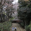 室生寺　幽邃