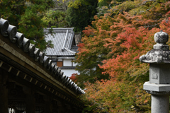 長谷寺　秋景色