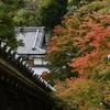 長谷寺　秋景色