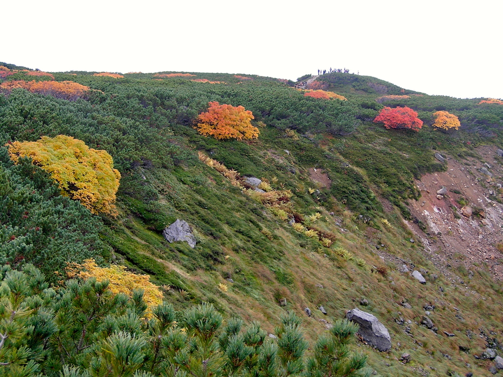 北海道　色づく大地　旭岳
