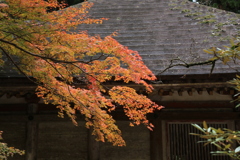 錦色の室生寺