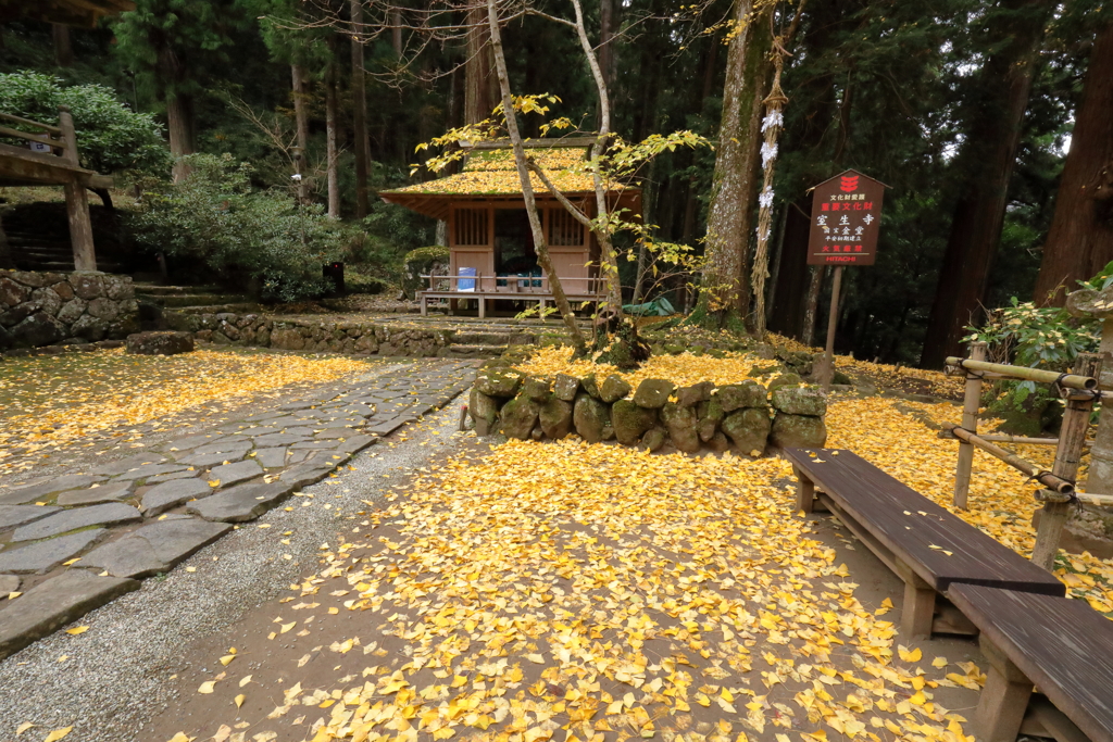秋深まる室生寺