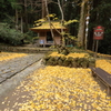 秋深まる室生寺