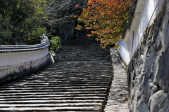 奈良 長谷寺