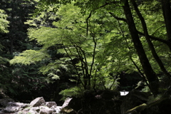 Green 赤目滝