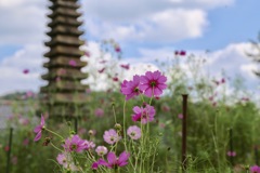 奈良 般若寺