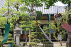 風鈴の寺　廣禅寺 伊賀市