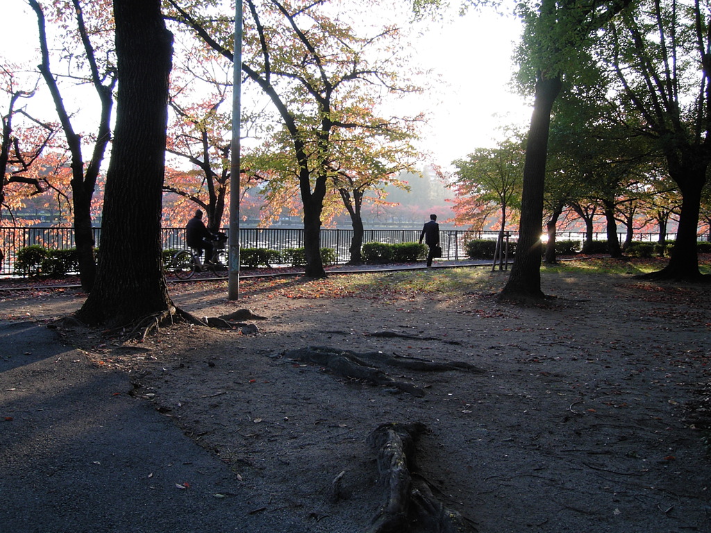 朝だ朝だーよ