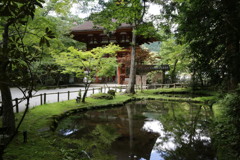 夏の室生寺（仁王門）