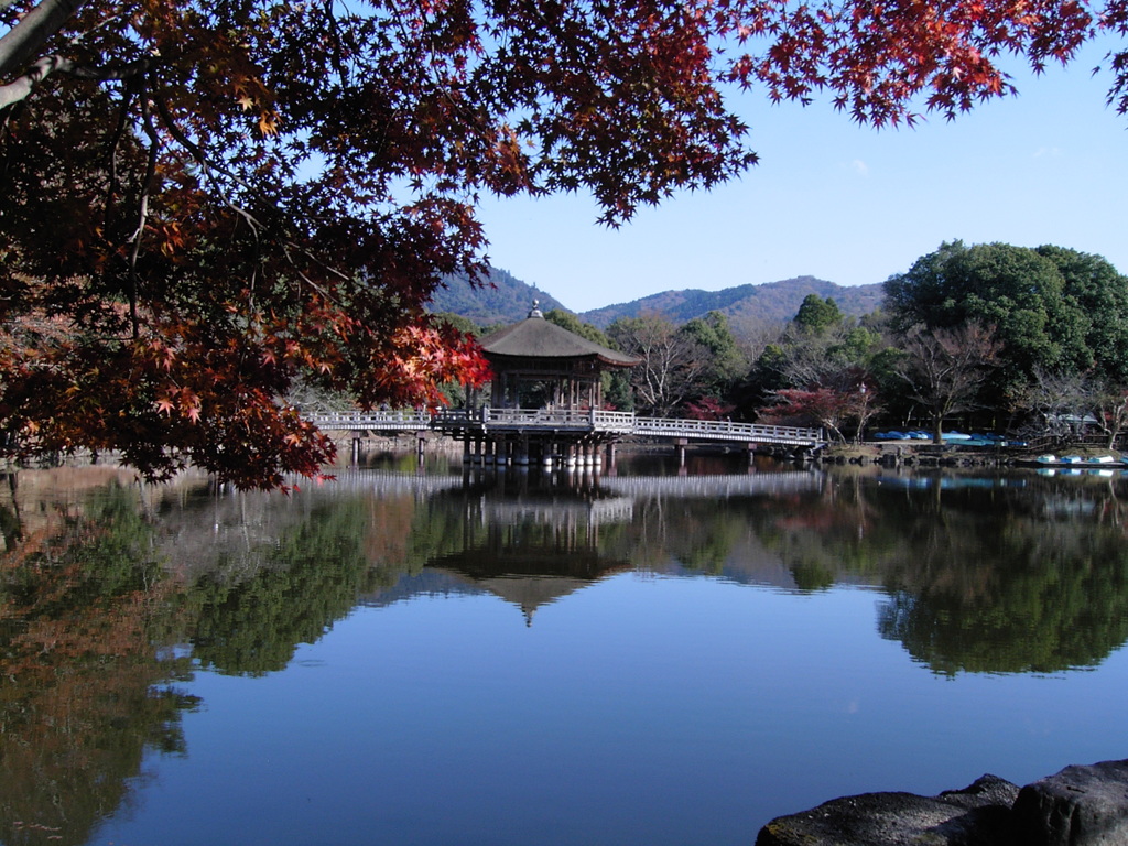 奈良公園　浮見堂