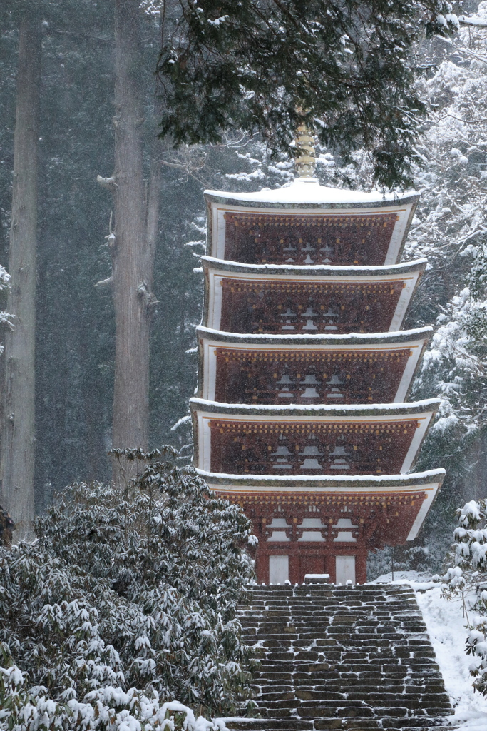 室生寺モノクローム