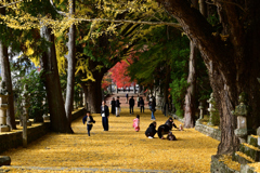 積田神社の紅葉
