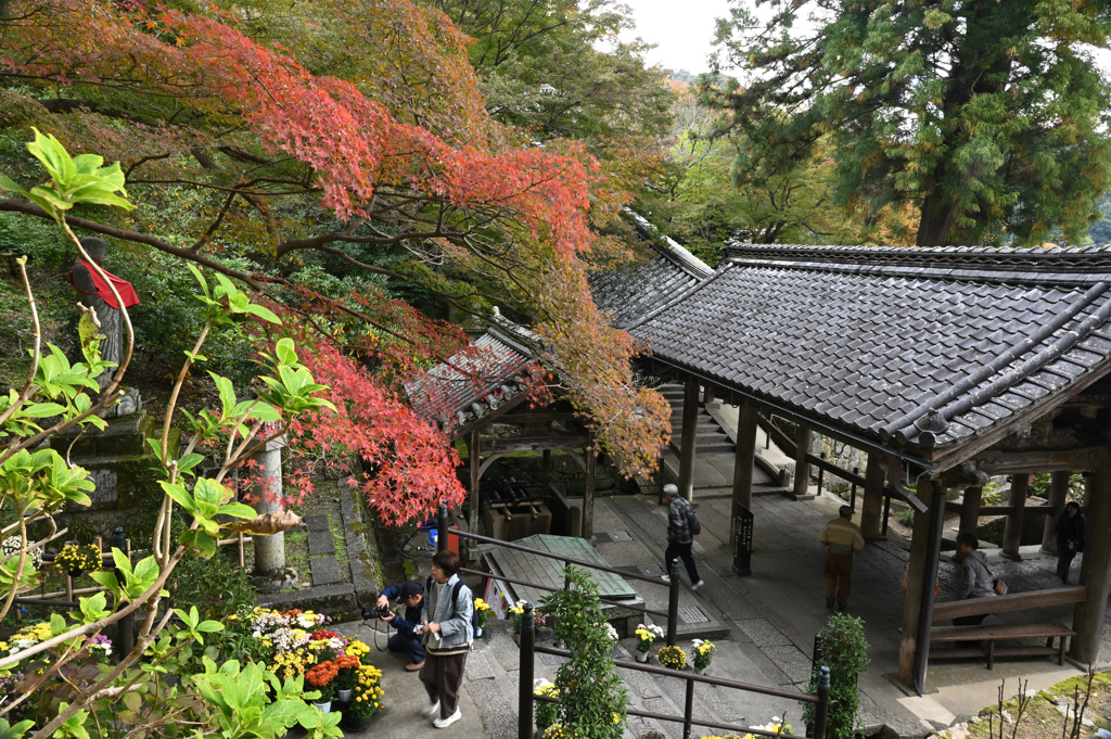 長谷寺　秋景色