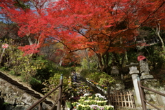 錦の山寺