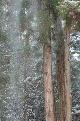 雪の室生寺