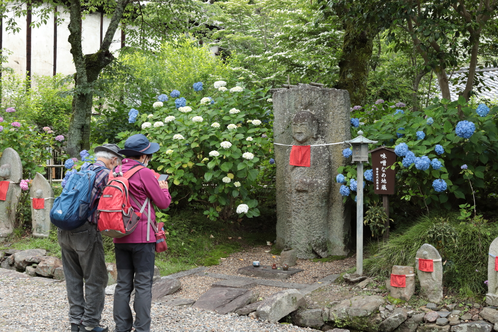 あじさい寺