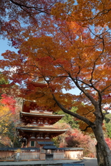 錦の山寺