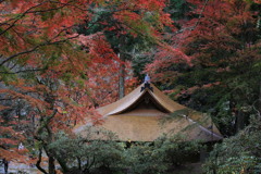 室生寺・紅葉