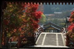秋に染まる室生寺