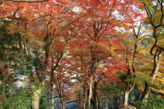 錦秋の山寺
