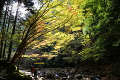 赤目四十八滝の紅葉