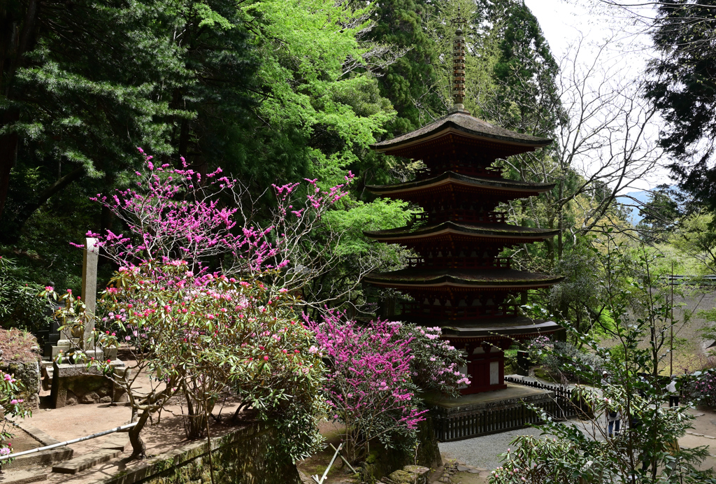 春めく室生寺