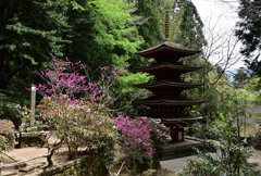 春めく室生寺