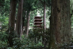 夏の室生寺　五重の塔