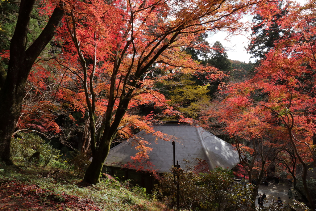 秋深まる室生寺