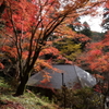 秋深まる室生寺