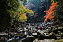 赤目四十八滝の紅葉