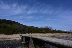 橋
