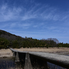 橋