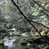 赤目四十八滝 雨上がり