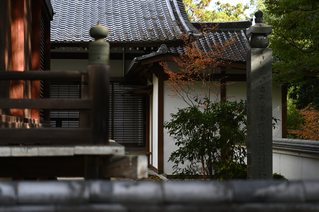 長谷寺　秋景色