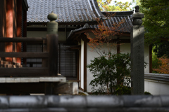 長谷寺　秋景色