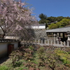 大和國 長谷寺