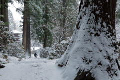雪の室生寺