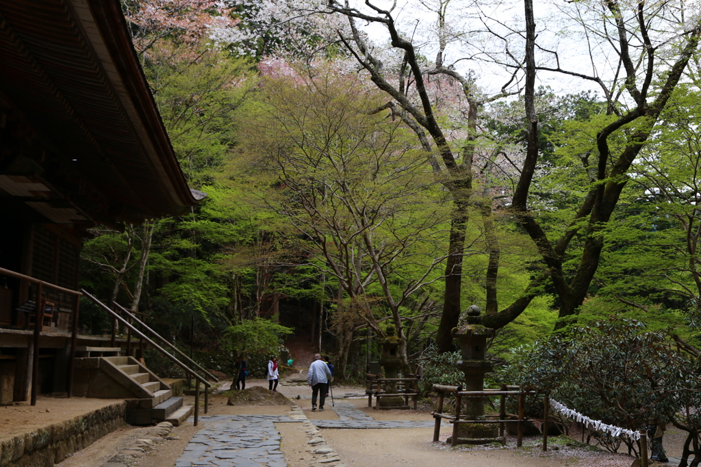 室生寺　幽邃