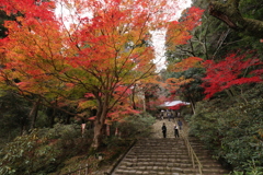 秋深まる室生寺