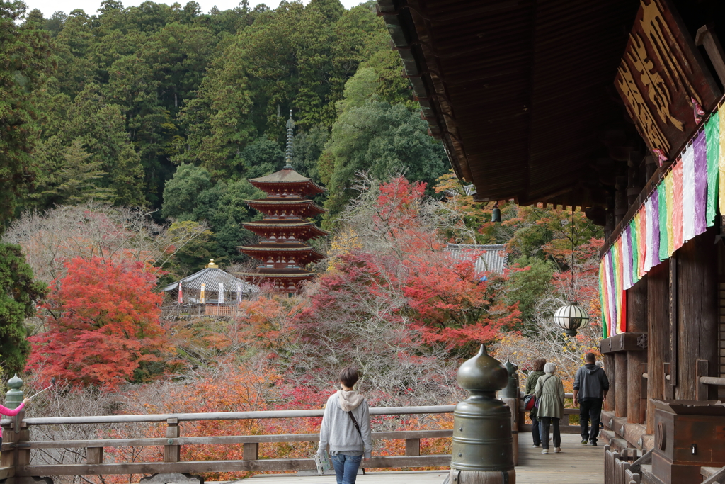 錦秋・長谷寺