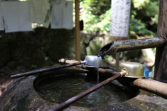 室生寺　手水