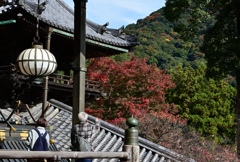 長谷寺　秋景色
