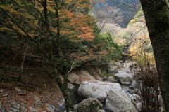 秋惜しむ　赤目四十八滝