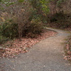 冬の散歩道