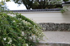 奈良　秋篠寺