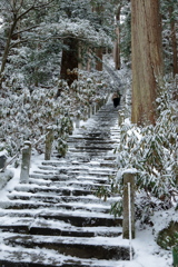 雪の室生寺