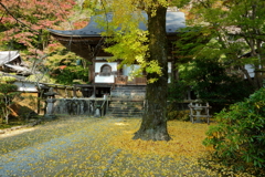 秋に染まる室生寺