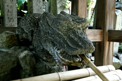 早合点