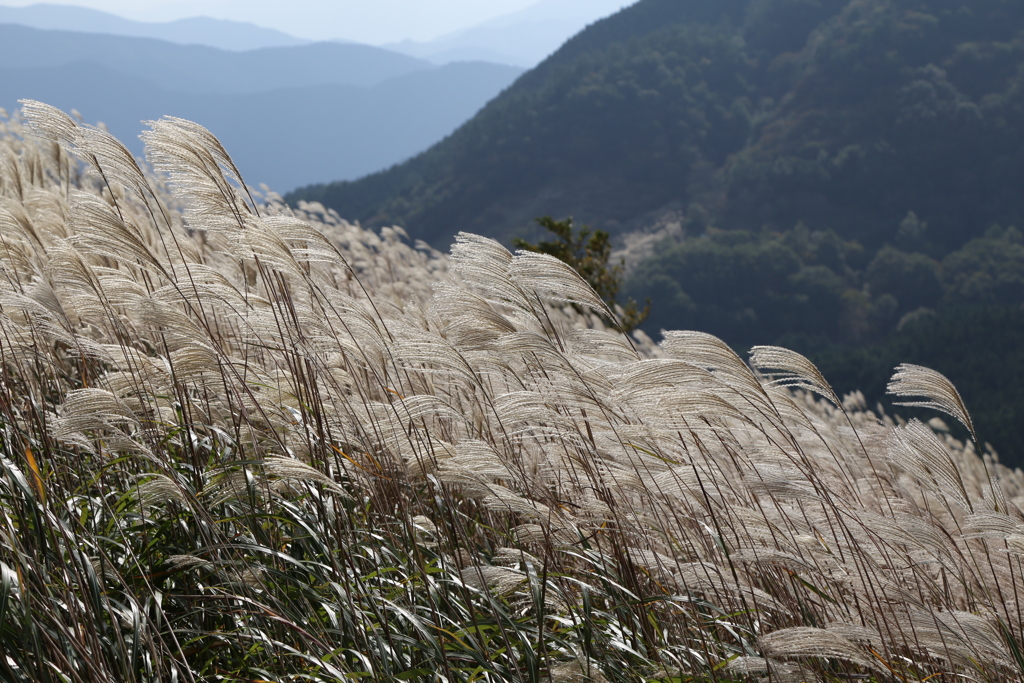 曽爾高原　亀山